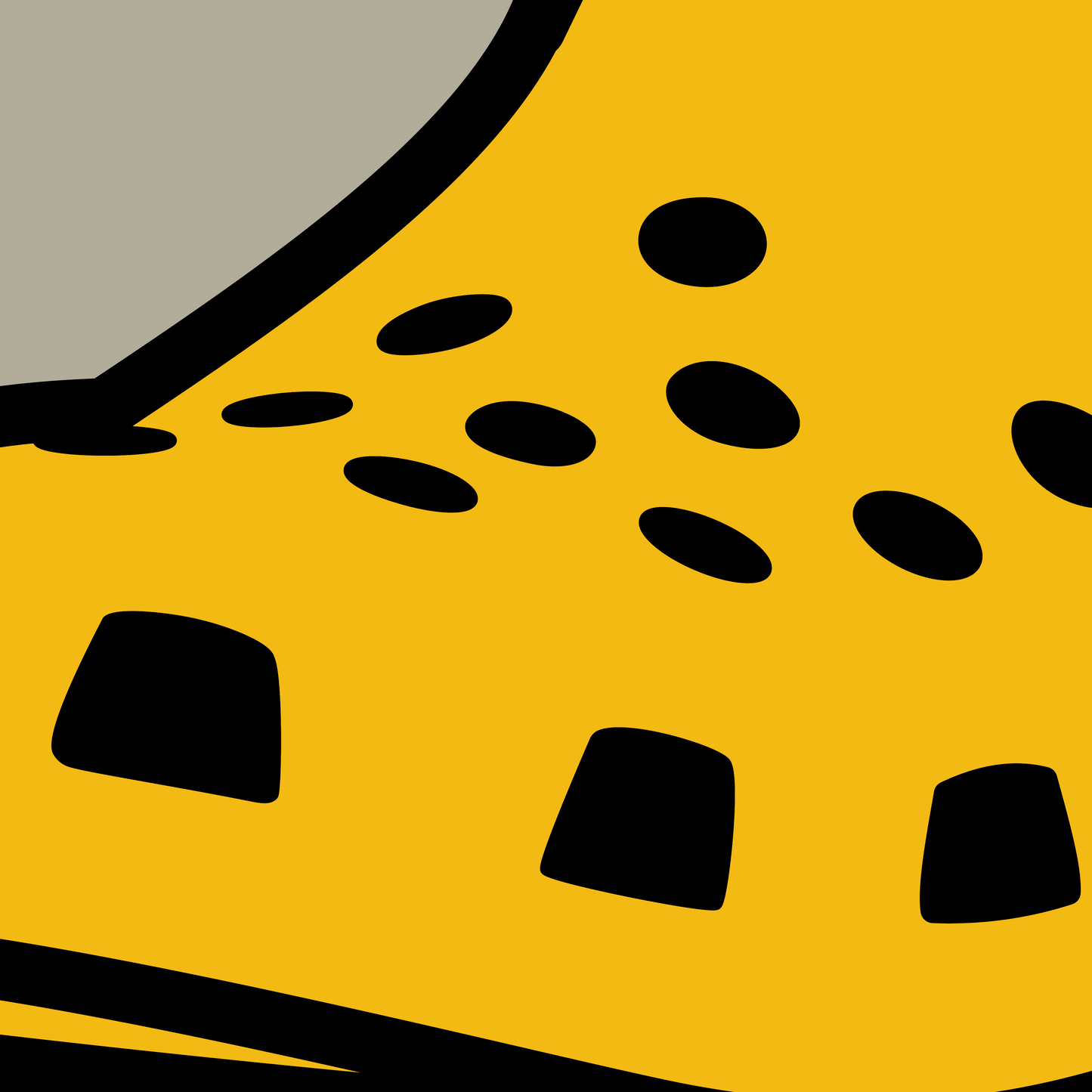 Crocs 2